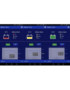 Monitor da bateria bluetooth 2