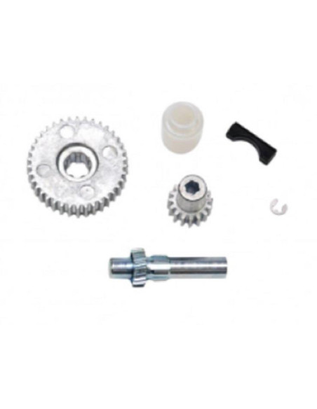 Kit Engrenagem p/manivela claraboia Remis Top Vario II