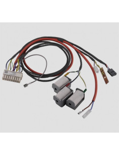 Cablagem p/Combi 4/6 06/2018-06/2020